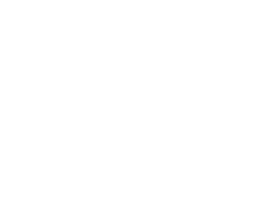 WordpressLogo